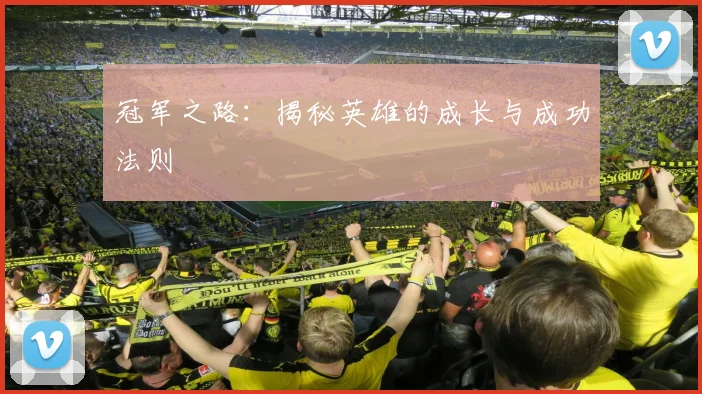 冠军之路：揭秘英雄的成长与成功法则